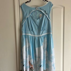 Rare! Disney Parks Collection dress. Purchased at WDW and never worn.